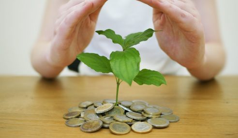 Nachhaltige Investitionen: Grüne Investitionen