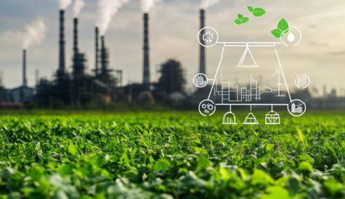 Nachhaltigkeit als Pflicht: Kommt die ESG-Steuer für umweltunfreundliche Firmen?